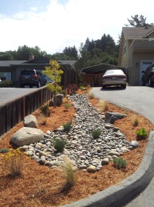Dry creek bed next to driveway