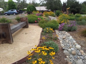 Front yard with bench and dry creek bed for drainage