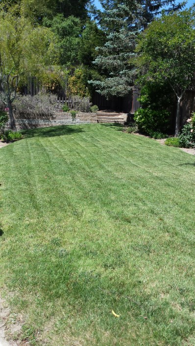 phonepix12-23-15-208